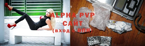 стафф Арсеньев