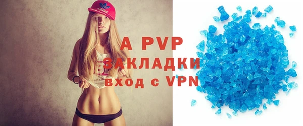 прущие грибы Аркадак