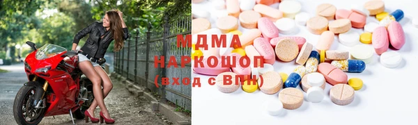 прущие грибы Аркадак