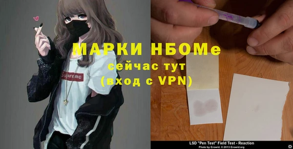 стафф Арсеньев