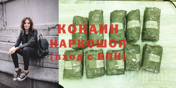 стафф Арсеньев