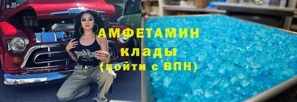 прущие грибы Аркадак