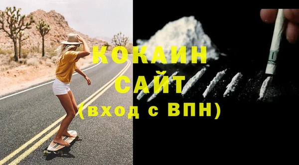 прущие грибы Аркадак