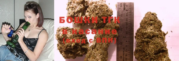 прущие грибы Аркадак
