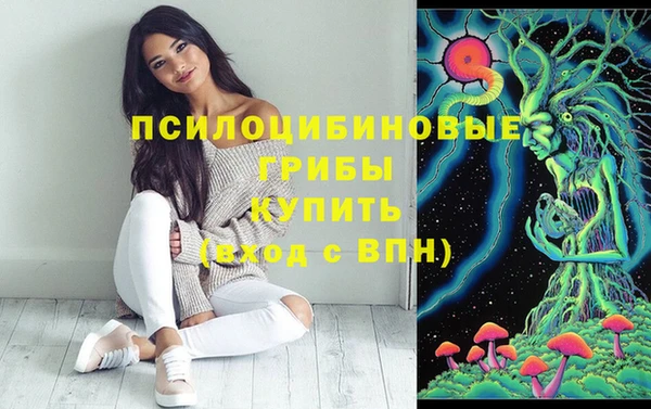 прущие грибы Аркадак