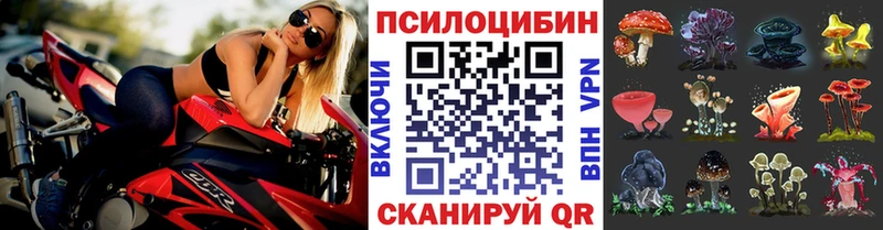 ссылка на мегу зеркало  закладки  Кувандык  Псилоцибиновые грибы ЛСД 