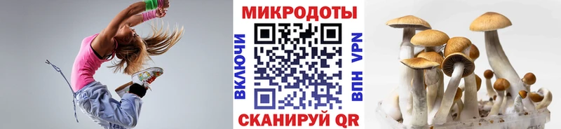 Галлюциногенные грибы ЛСД Кувандык